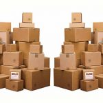 harga cetak dus
